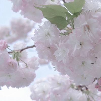 兽设质感表现技巧兽圈社群